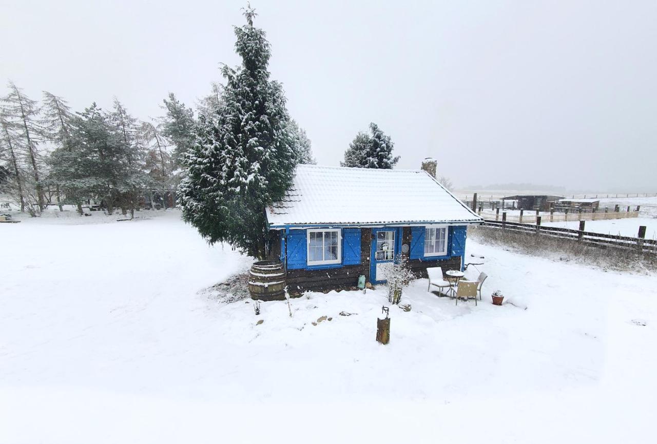 Ranczo Annabella Villa Przybiernow Dış mekan fotoğraf